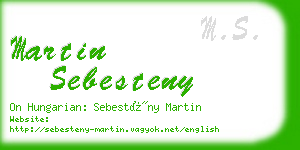 martin sebesteny business card